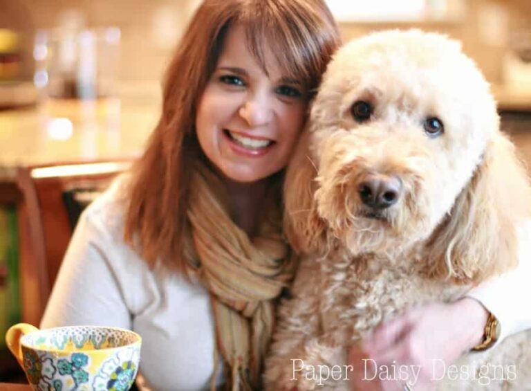 An interview with Coffee with a Canine