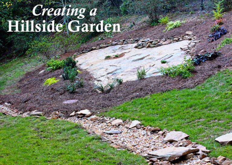 Hillside Landscape Makeover with Southern Living Plant Collection