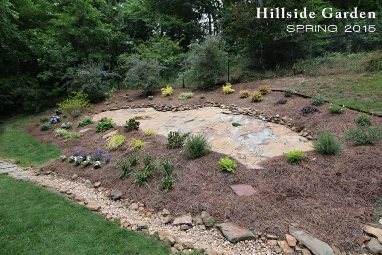 Supplemental Plantings: Hillside Gardening, continued