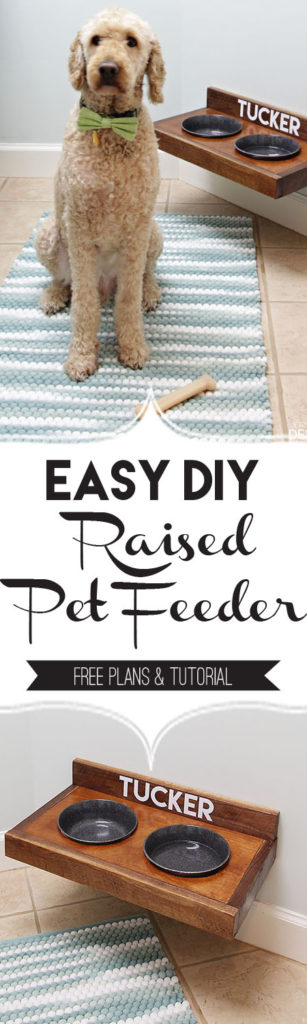 DIY Pet Feeding Station