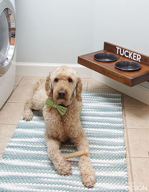 Wall dog outlet feeder