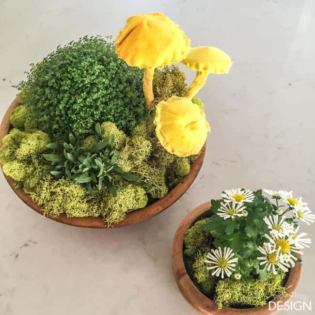 Moss Arrangement, Moss centerpiece, Moss succulent garden