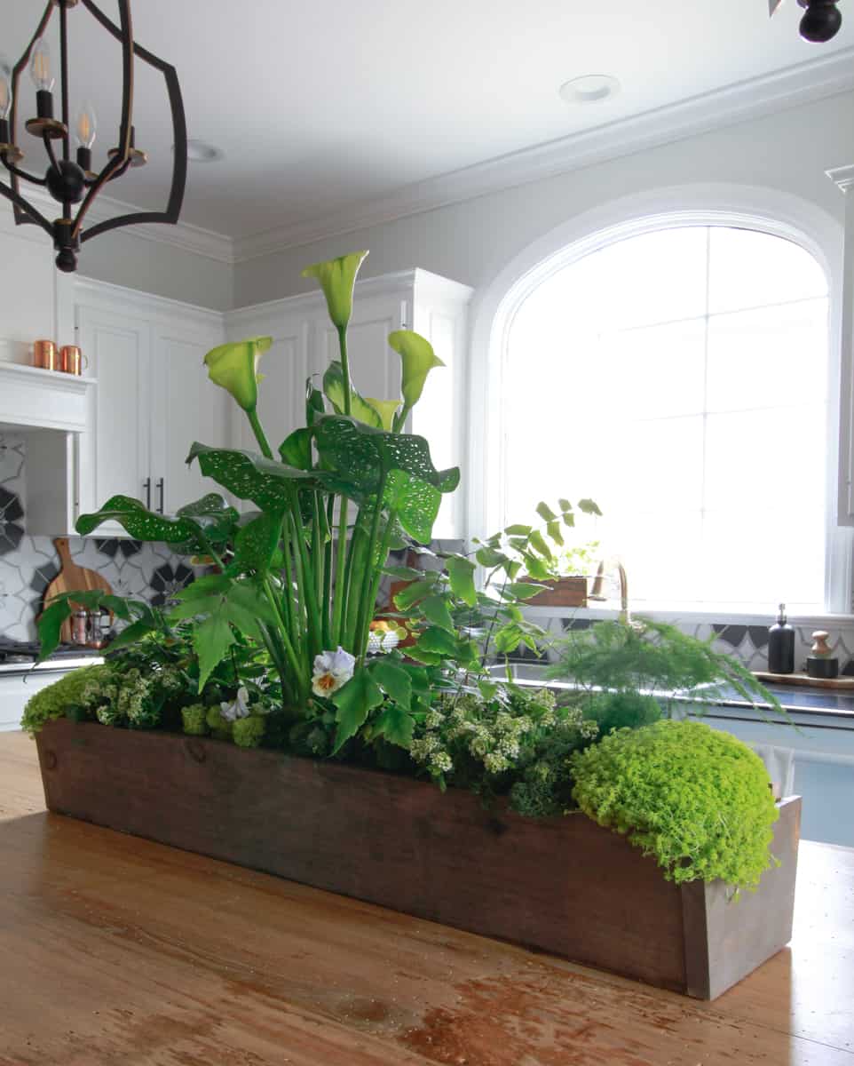 wooden trough planter