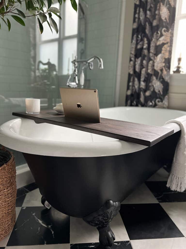 iPad holder for bathtub