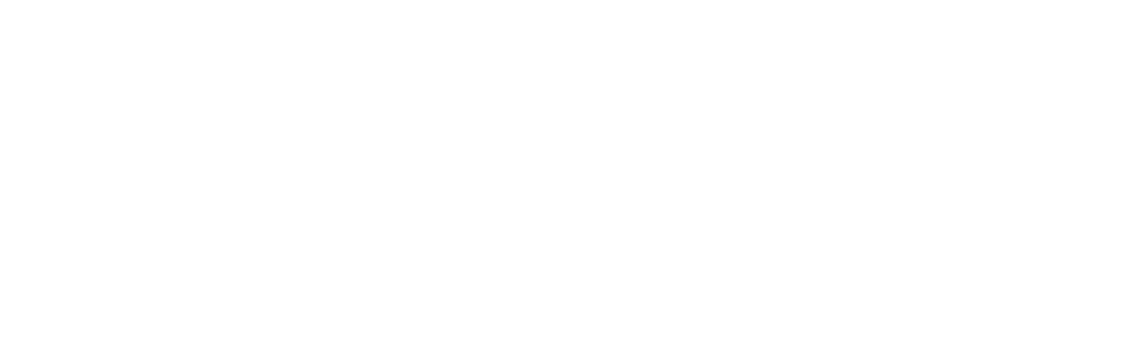 Deeply Southern Home Logo Large ‣ Deeply Southern Home Logo for Deeply Southern Home Interiors & Renovations in white text on a black background.